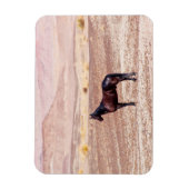 Wüstenpferd P8664 Magnet (Vertikal)