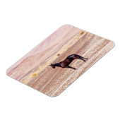 Wüstenpferd P8664 Magnet (Linke Seite)