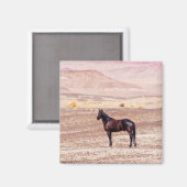 Wüstenpferd P8664 Magnet (Vorderseite/Rückseite)