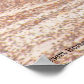 Wüstenpferd P8664 Poster (Ecke)