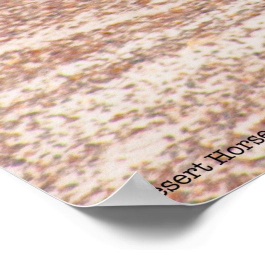 Wüstenpferd P8664 Poster (Ecke)