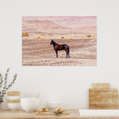 Wüstenpferd P8664 Poster (Küche)