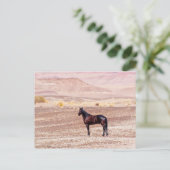 Wüstenpferd P8664 Postkarte (Stehend Vorderseite)