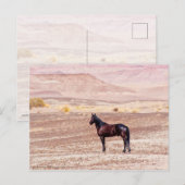 Wüstenpferd P8664 Postkarte (Vorne/Hinten)