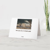 Wüstenpferde Grußkarte Feiertagskarte (Rückseite)