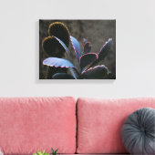 WüstenPflanze Leinwanddruck (Insitu (Wohnzimmer))