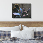 WüstenPflanze Leinwanddruck (Insitu (Schlafzimmer))
