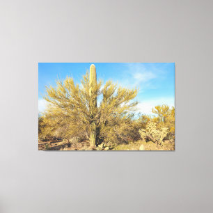 WüstenPflanze Leinwanddruck