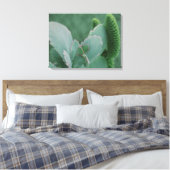 WüstenPflanze Leinwanddruck (Insitu (Schlafzimmer))