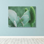 WüstenPflanze Leinwanddruck (Insitu (Holzboden))