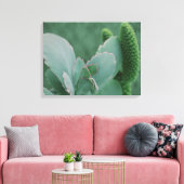 WüstenPflanze Leinwanddruck (Insitu (Wohnzimmer))