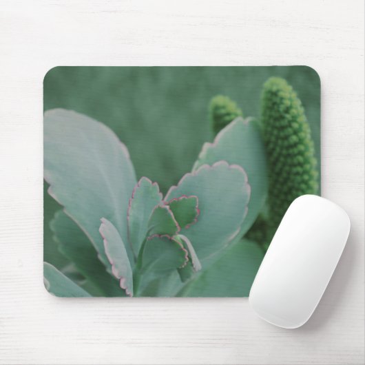 WüstenPflanze Mousepad (Mit Mouse)