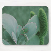 WüstenPflanze Mousepad (Vorne)