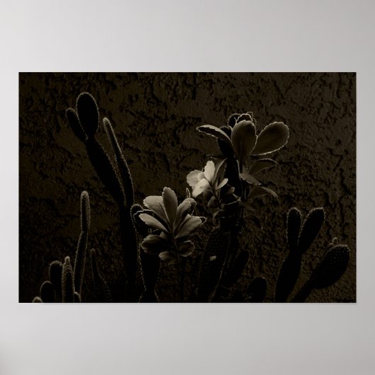 WüstenPflanze Poster (Vorne)