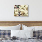 Wüstenradiance Cholla Cactus Foto Leinwanddruck (Insitu (Schlafzimmer))