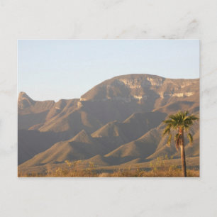 Wüstenranch-Landschaft in der Nähe von Monterey, M Postkarte