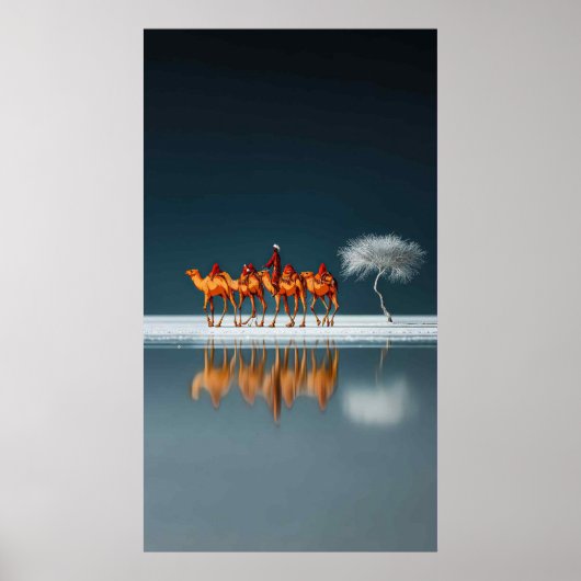 Wüstenreflexionen Poster (Vorne)