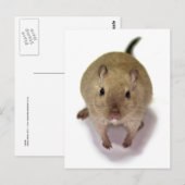 Wüstenrennmaus-Postkarte Postkarte (Vorne/Hinten)