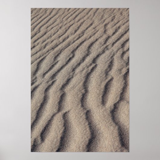 Wüstenrippel Poster (Vorne)