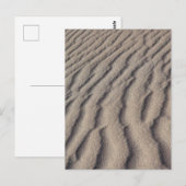 Wüstenrippel Postkarte (Vorne/Hinten)