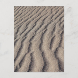 Wüstenrippel Postkarte