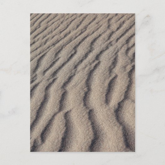 Wüstenrippel Postkarte (Vorderseite)