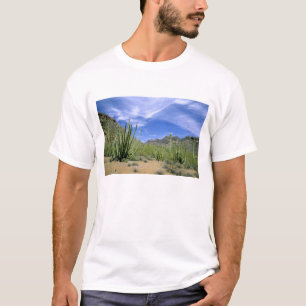 Wüstensäulenkaktus im Organ Pipe National Monument T-Shirt