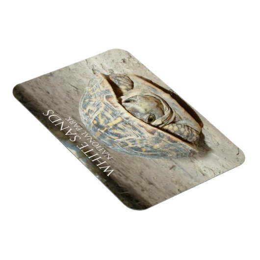 Wüstenschachtel Magnet (Rechte Seite)