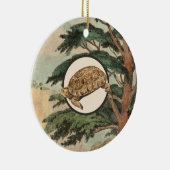 Wüstenschildkröte in der natürlicher keramikornament (Rechts)