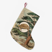 Wüstenschildkröte in der natürlicher kleiner weihnachtsstrumpf (Vorderansicht (hängend))