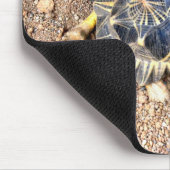 Wüstenschildkröte Mousepad (Ecke)