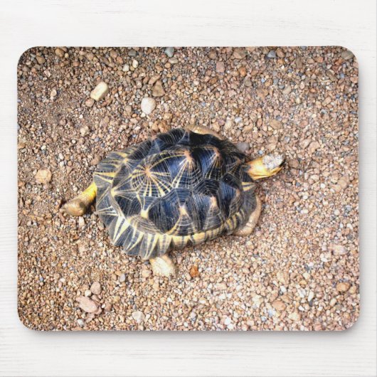 Wüstenschildkröte Mousepad (Vorne)