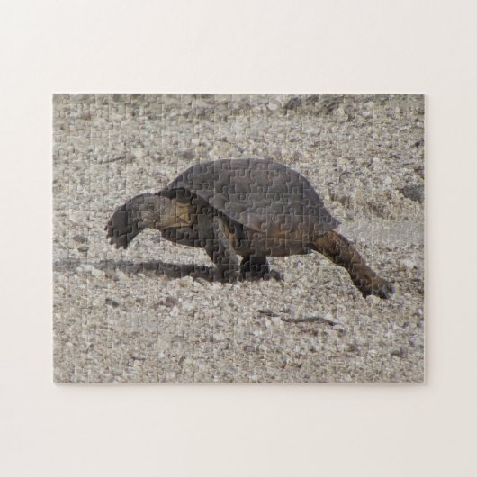 Wüstenschildkröte Puzzle (Horizontal)