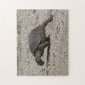 Wüstenschildkröte Puzzle (Vertikal)