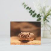Wüstenschlange Postkarte (Stehend Vorderseite)