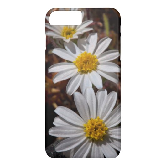 Wüstenstar-Wildblumen Case-Mate iPhone Hülle (Rückseite)