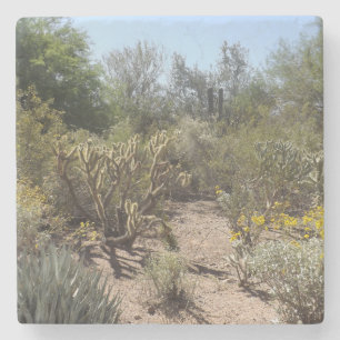 Wüstenstein Untersetzer