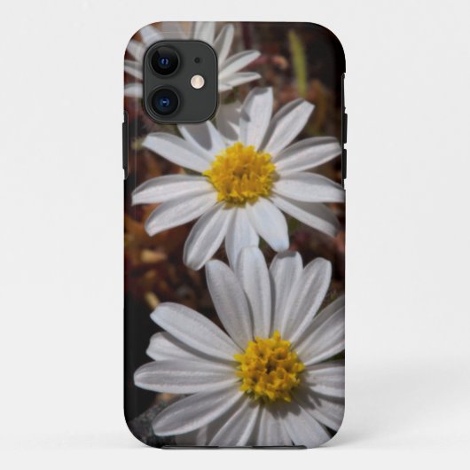 Wüstenstern-Wildblumen Case-Mate iPhone Hülle (Rückseite)