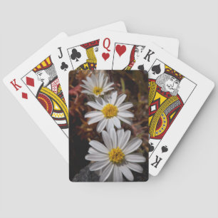 Wüstenstern-Wildblumen Spielkarten
