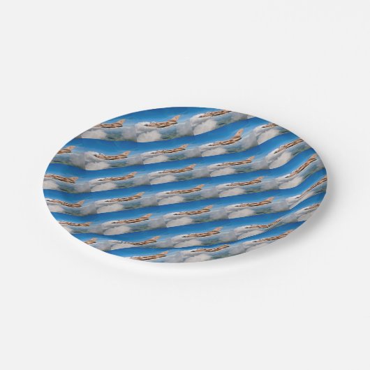 Wüstensturm Tornado GR4 Pinky Pappteller (Schrägansicht)