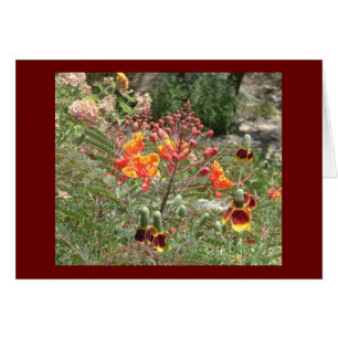 WüstensüdwestBlumen