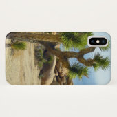 Wüstensukkulturen, Steine und Himmel aus Kaliforni Case-Mate iPhone Hülle (Rückseite (Horizontal))