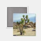 Wüstensukkulturen, Steine und Himmel aus Kaliforni Magnet (Vorderseite/Rückseite)