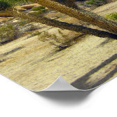 Wüstensukkulturen, Steine und Himmel aus Kaliforni Poster (Ecke)