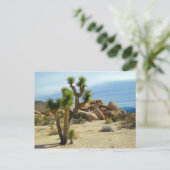 Wüstensukkulturen, Steine und Himmel aus Kaliforni Postkarte (Stehend Vorderseite)