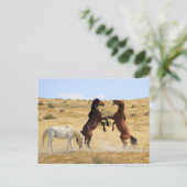 Wüstentanz Postkarte (Stehend Vorderseite)
