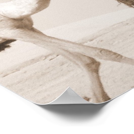 Wüstenverkehr Poster (Ecke)