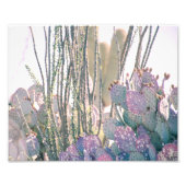 Wüstenvormittag | FOTO (Vorne)