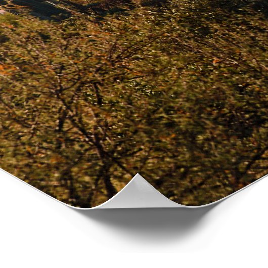 Wüstenvormittag Poster (Ecke)