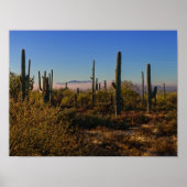 Wüstenvormittag Poster (Vorne)